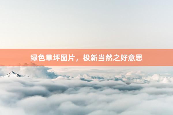 绿色草坪图片，极新当然之好意思