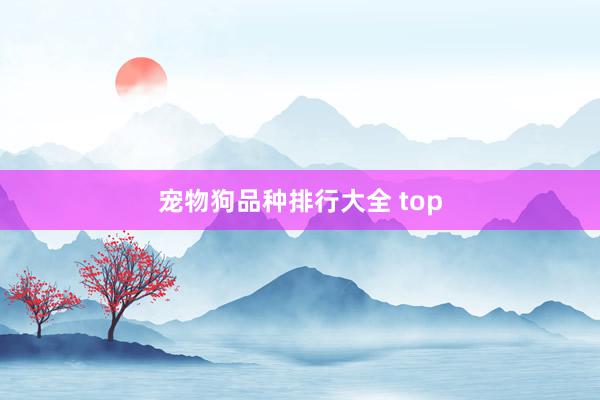宠物狗品种排行大全 top