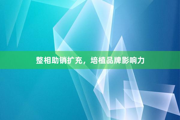 整相助销扩充，培植品牌影响力
