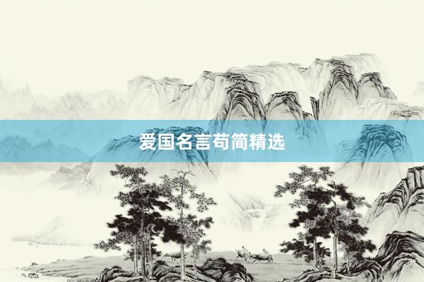 爱国名言苟简精选